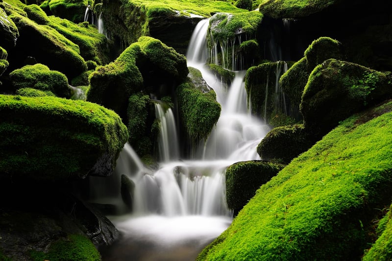 Enchanted Waterfall